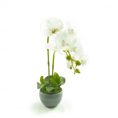 Phalaenopsis real  touch  plant cm.40