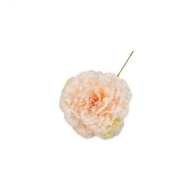 Fiore garofano cipria