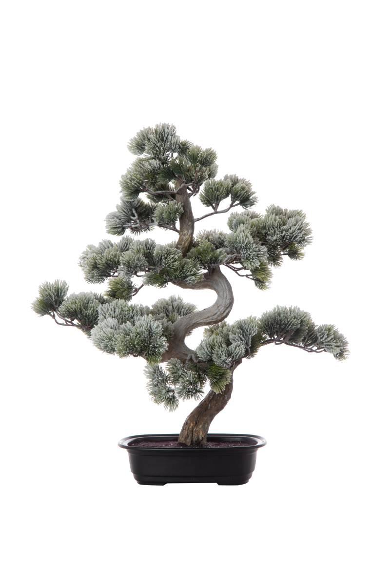 Bonsai innevato cm.68