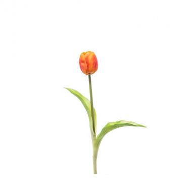 Tulipano singolo gomma