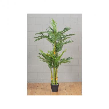 Pianta foglie palma h.160cm