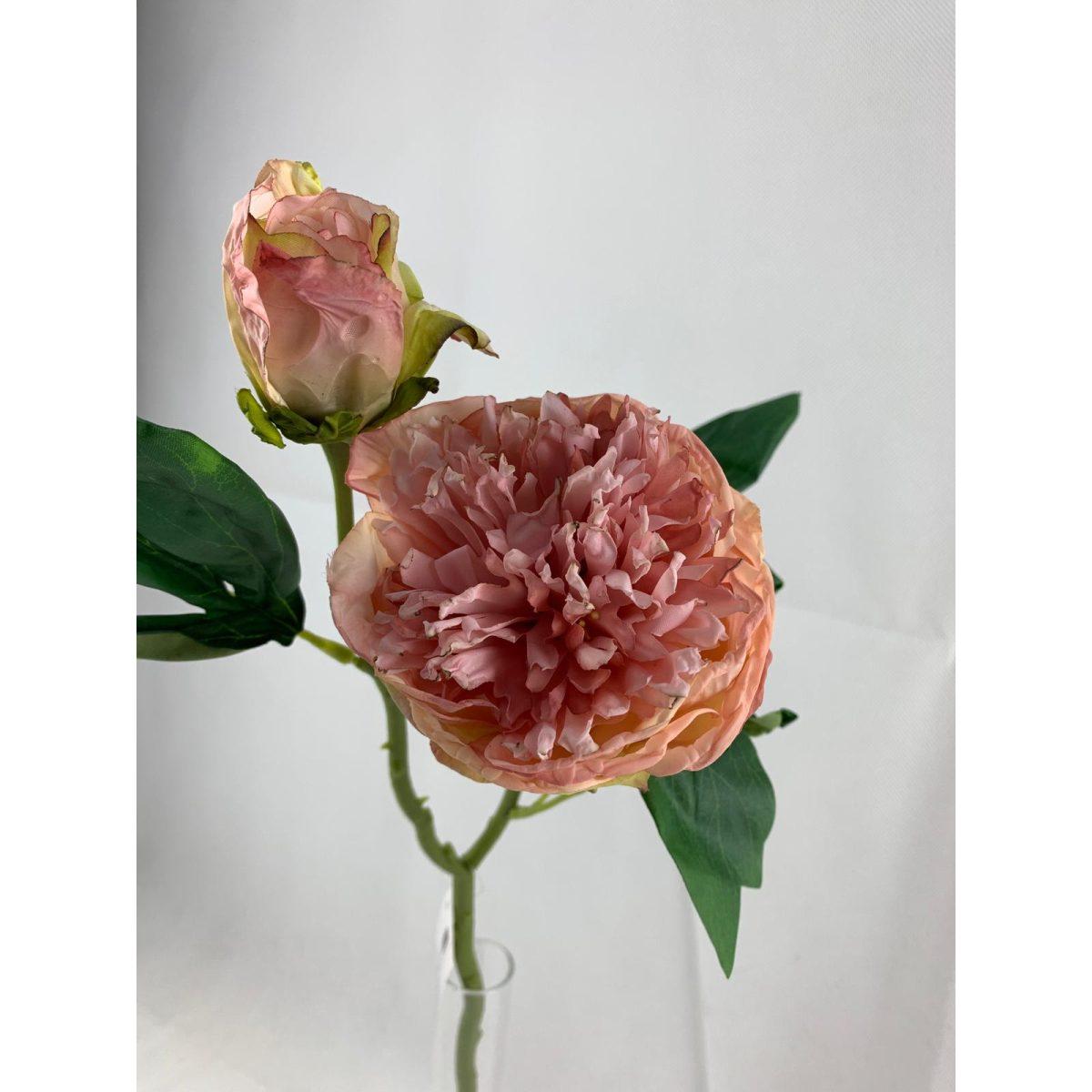 Dried peony bud x2 45cm