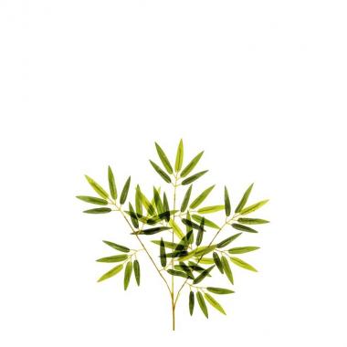 Fogliame bamboo x60 h.cm.45