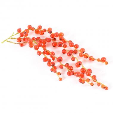 Ribes ramo 25 cm.
