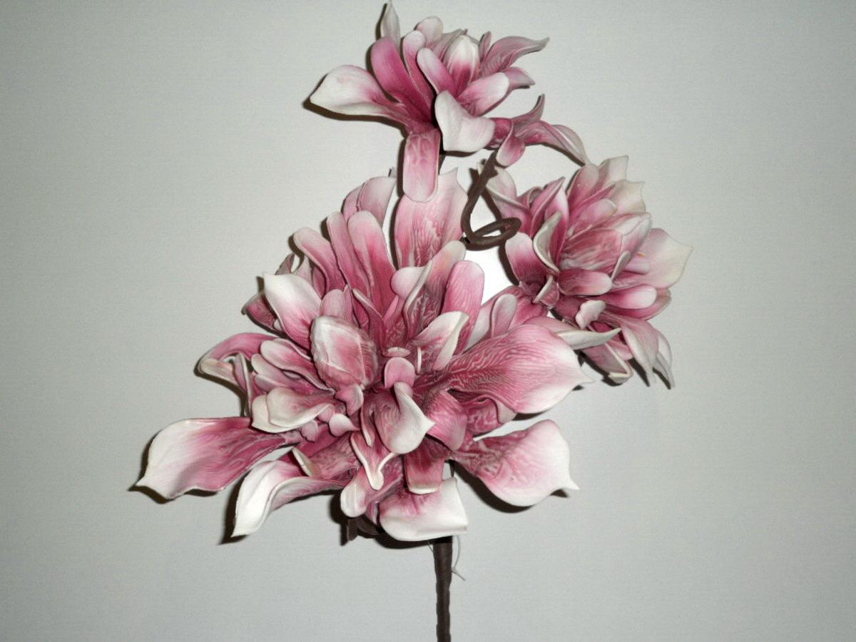 Magnolia x 3 polyfom
