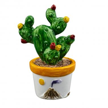 Piantina cactus vulcano piccola