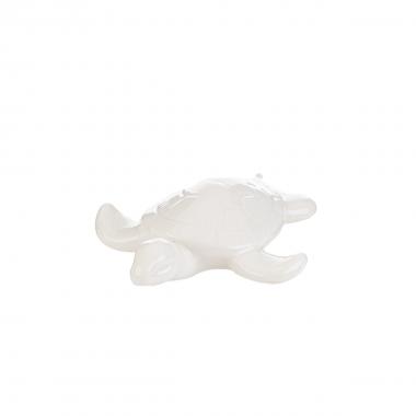 Tartaruga marina porcellana  col bianco